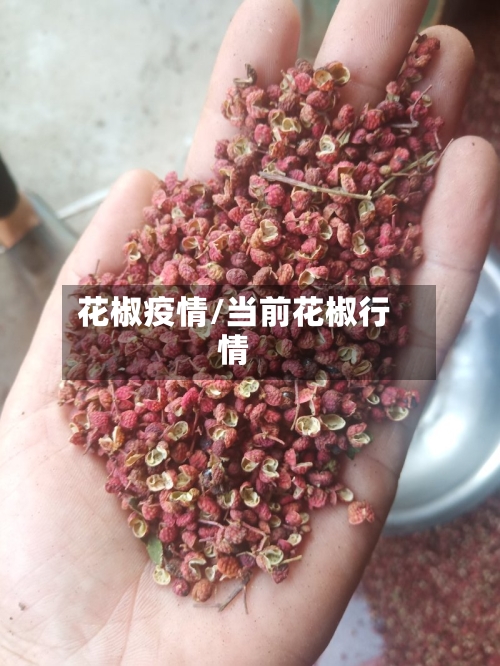 花椒疫情/当前花椒行情-第3张图片