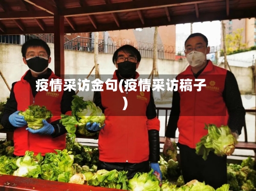 疫情采访金句(疫情采访稿子)