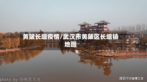 黄陂长堰疫情/武汉市黄陂区长堰镇地图