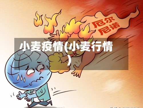 小麦疫情(小麦行情)-第2张图片