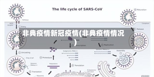 非典疫情新冠疫情(非典疫情情况)