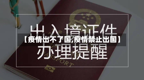 【疫情出不了国,疫情禁止出国】