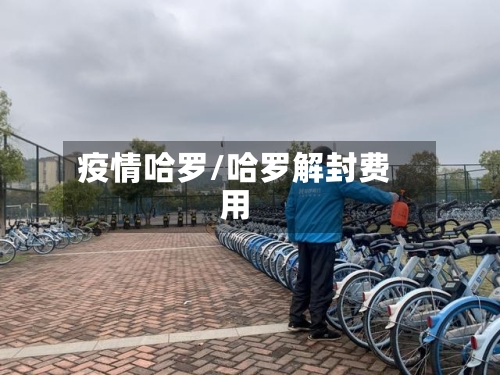 疫情哈罗/哈罗解封费用-第2张图片