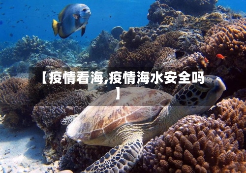 【疫情看海,疫情海水安全吗】