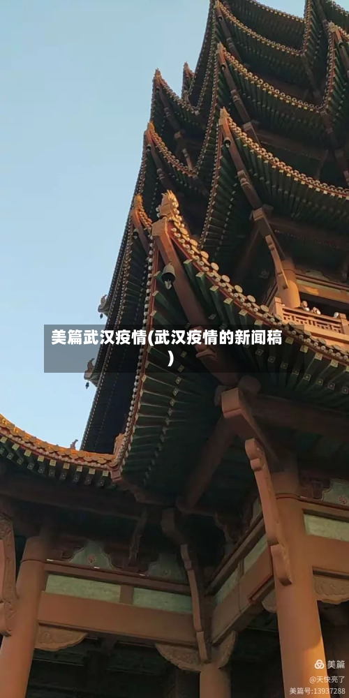 美篇武汉疫情(武汉疫情的新闻稿)-第2张图片