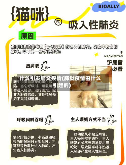 什么引发肺炎疫情(肺炎疫情由什么引起的)