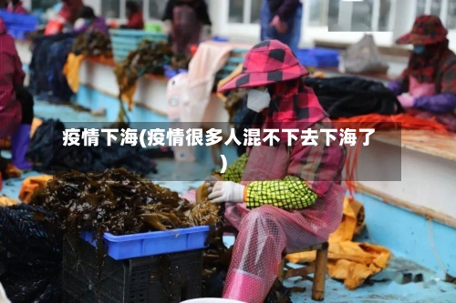 疫情下海(疫情很多人混不下去下海了)-第2张图片