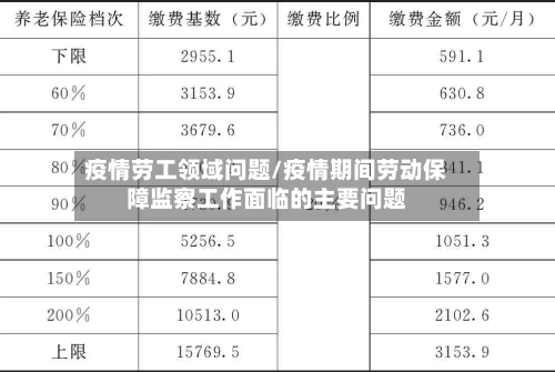 疫情劳工领域问题/疫情期间劳动保障监察工作面临的主要问题-第2张图片
