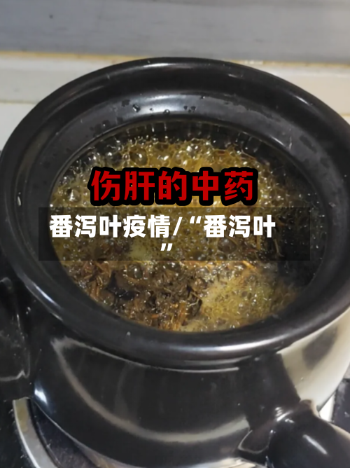 番泻叶疫情/“番泻叶”-第2张图片