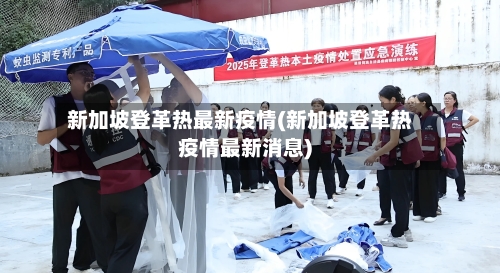 新加坡登革热最新疫情(新加坡登革热疫情最新消息)-第3张图片