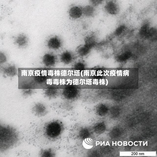 南京疫情毒株德尔塔(南京此次疫情病毒毒株为德尔塔毒株)