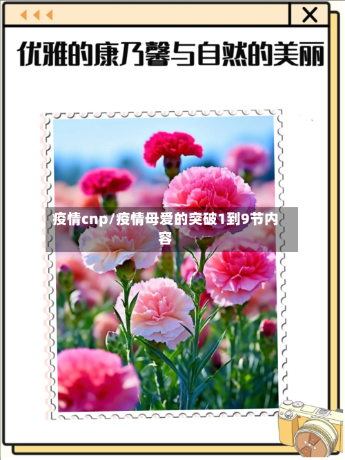 疫情cnp/疫情母爱的突破1到9节内容-第3张图片