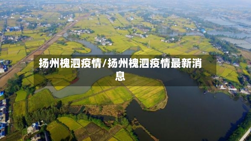 扬州槐泗疫情/扬州槐泗疫情最新消息-第2张图片