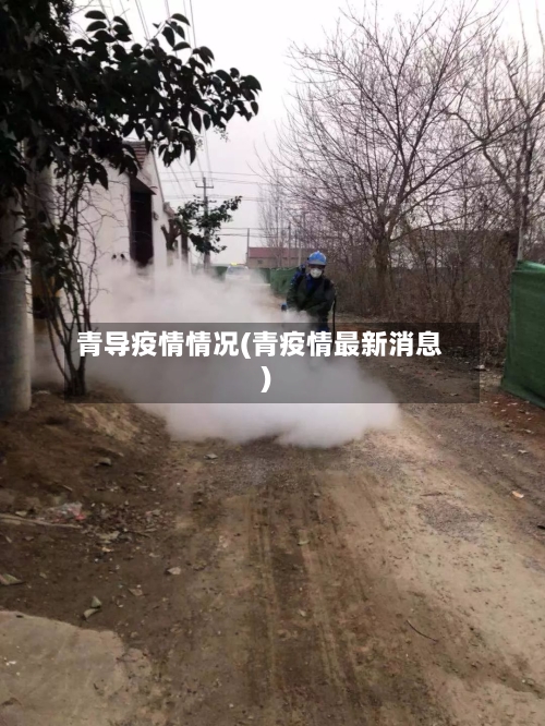 青导疫情情况(青疫情最新消息)-第3张图片
