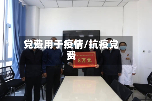党费用于疫情/抗疫党费-第2张图片