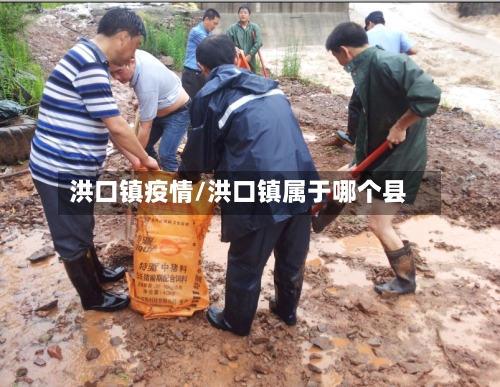 洪口镇疫情/洪口镇属于哪个县-第2张图片