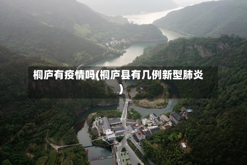 桐庐有疫情吗(桐庐县有几例新型肺炎)-第3张图片