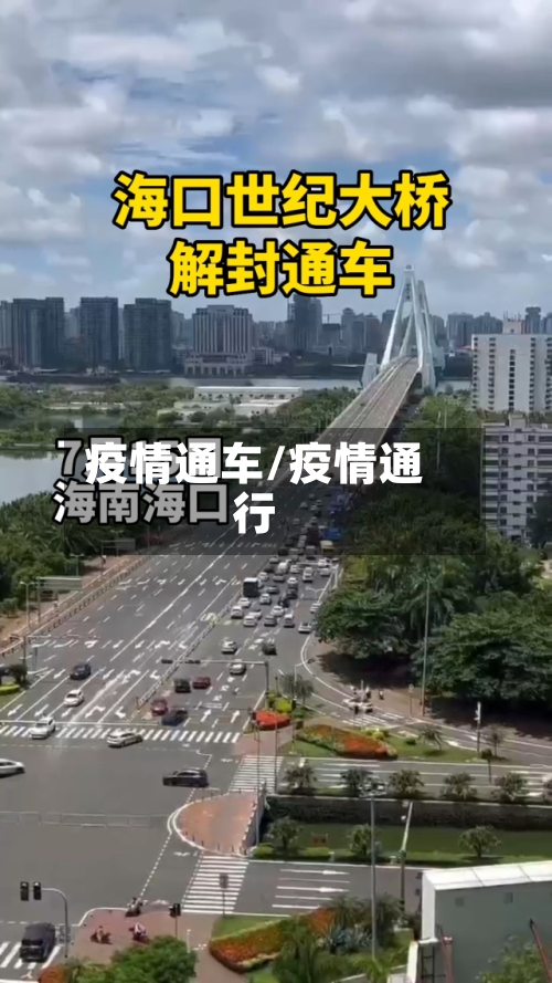疫情通车/疫情通行-第2张图片