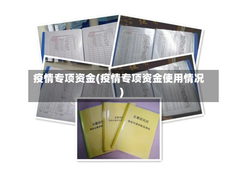 疫情专项资金(疫情专项资金使用情况)