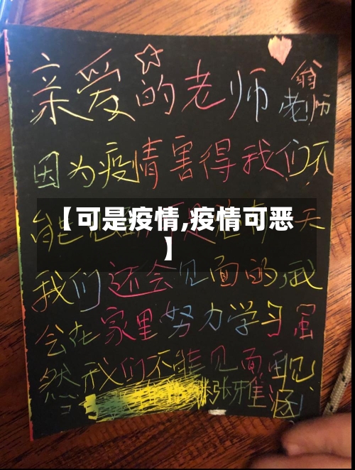 【可是疫情,疫情可恶】-第3张图片