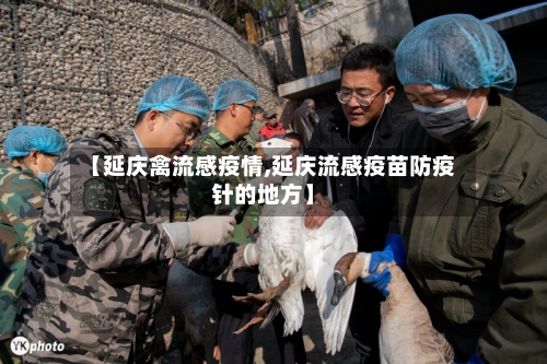 【延庆禽流感疫情,延庆流感疫苗防疫针的地方】