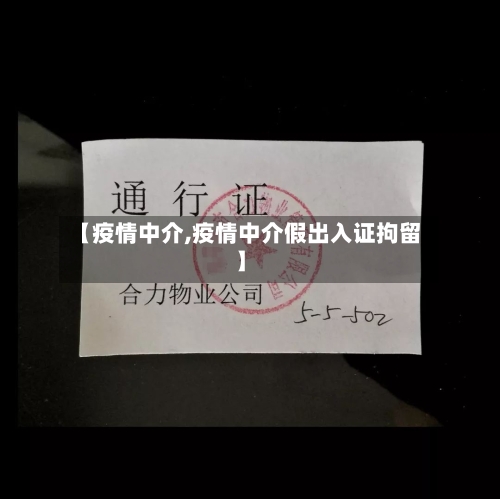 【疫情中介,疫情中介假出入证拘留】