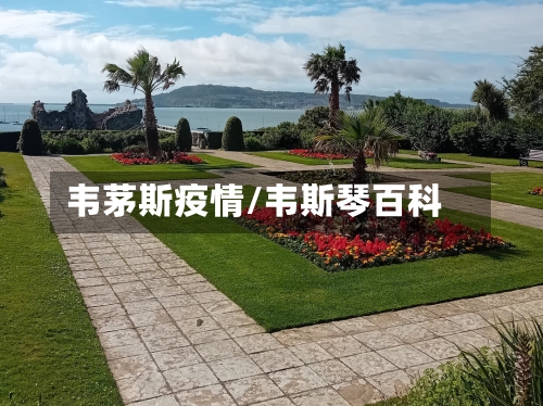 韦茅斯疫情/韦斯琴百科-第3张图片