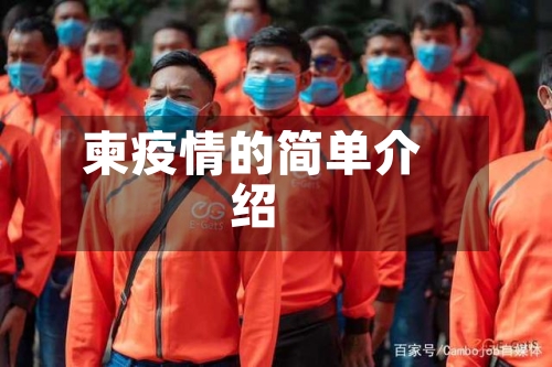 柬疫情的简单介绍