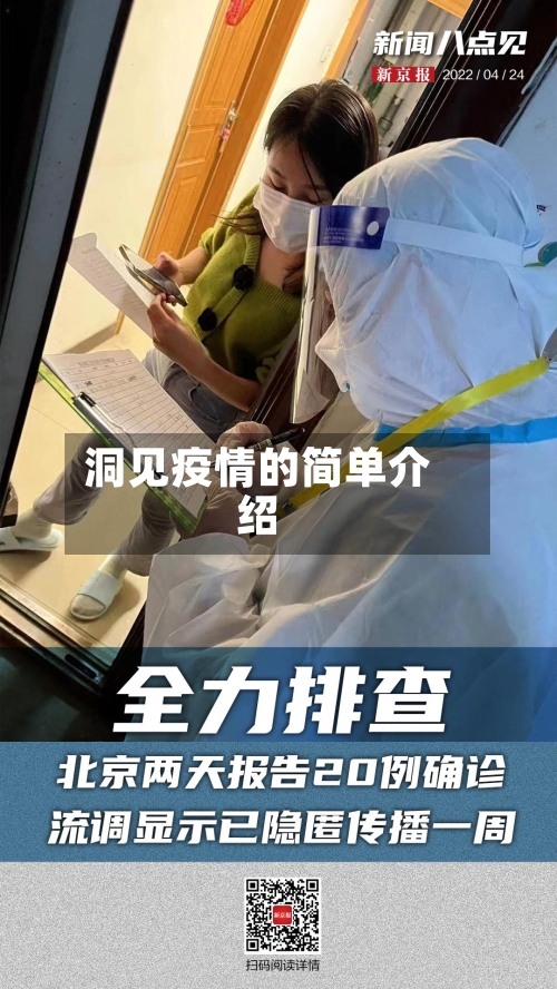 洞见疫情的简单介绍-第3张图片