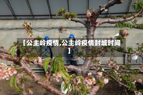 【公主岭疫情,公主岭疫情封城时间】