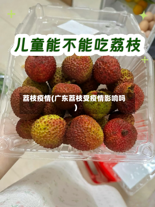 荔枝疫情(广东荔枝受疫情影响吗)-第2张图片