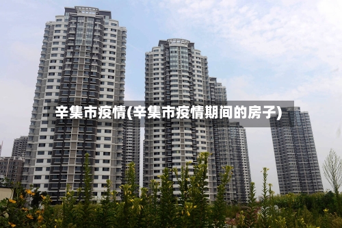 辛集市疫情(辛集市疫情期间的房子)-第2张图片