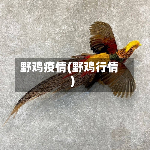 野鸡疫情(野鸡行情)