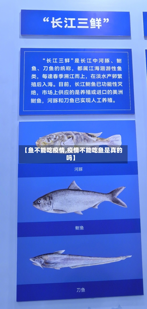 【鱼不能吃疫情,疫情不能吃鱼是真的吗】