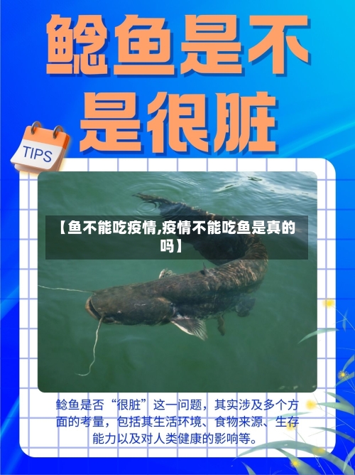 【鱼不能吃疫情,疫情不能吃鱼是真的吗】-第3张图片