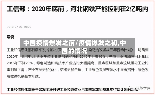 中国疫情爆发之前/疫情爆发之初,中国的情况-第3张图片