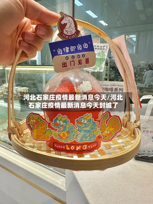 河北石家庄疫情最新消息今天/河北石家庄疫情最新消息今天封城了-第2张图片
