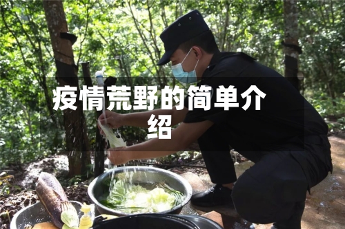 疫情荒野的简单介绍-第3张图片