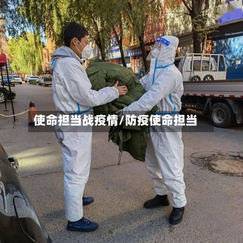 使命担当战疫情/防疫使命担当-第2张图片