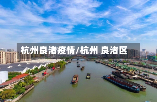 杭州良渚疫情/杭州 良渚区-第2张图片