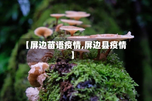 【屏边苗语疫情,屏边县疫情】-第2张图片