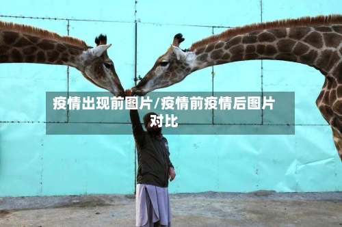 疫情出现前图片/疫情前疫情后图片对比-第3张图片