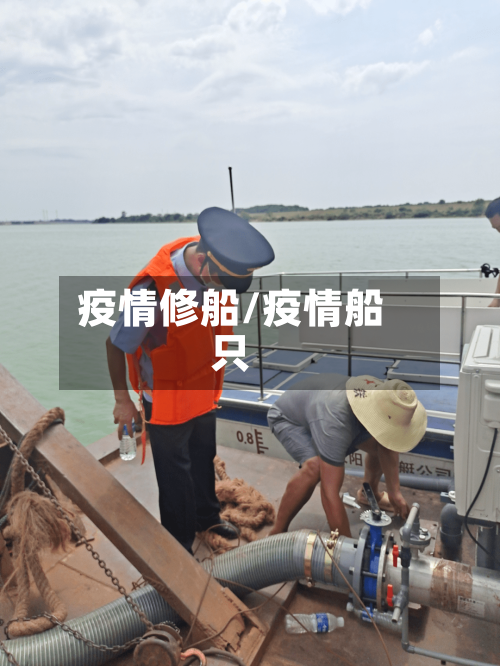疫情修船/疫情船只