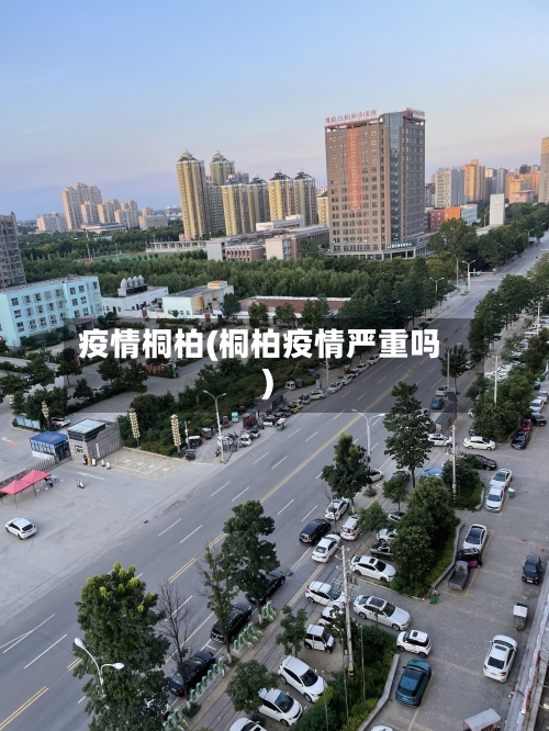 疫情桐柏(桐柏疫情严重吗)