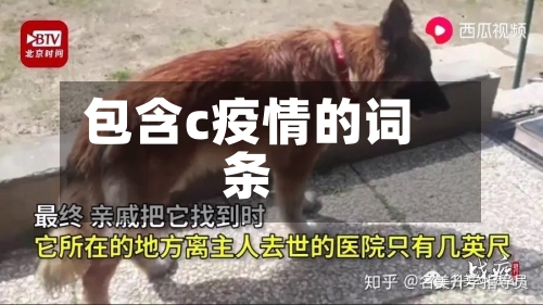 包含c疫情的词条