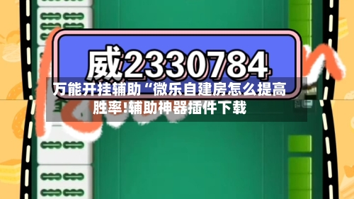 万能开挂辅助“微乐自建房怎么提高胜率!辅助神器插件下载-第2张图片