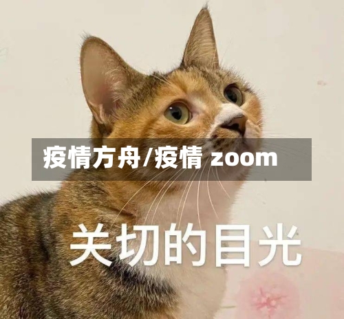 疫情方舟/疫情 zoom-第2张图片