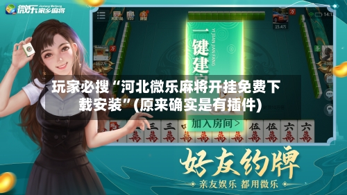 玩家必搜“河北微乐麻将开挂免费下载安装”(原来确实是有插件)-第3张图片