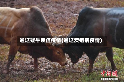 通辽疑牛炭疽疫情(通辽炭疽病疫情)