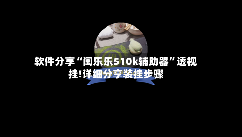 软件分享“闽乐乐510k辅助器	”透视挂!详细分享装挂步骤-第2张图片
